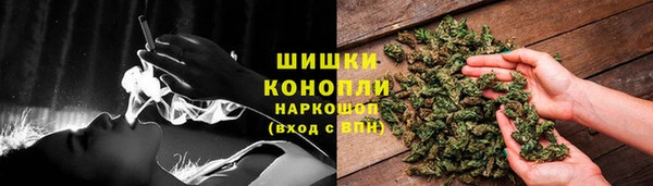 spice Богданович