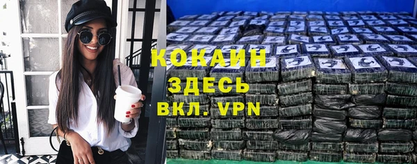 spice Богданович