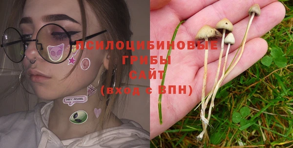 спайс Богородск