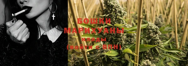 spice Богданович
