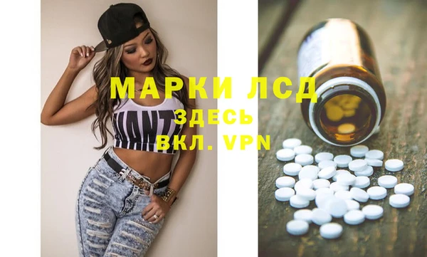 spice Богданович