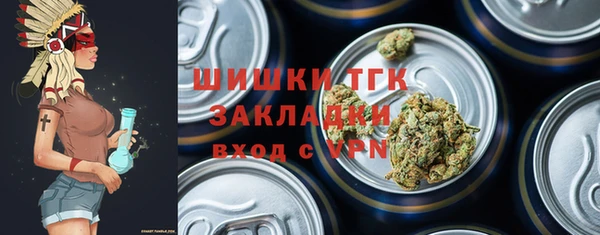 spice Богданович